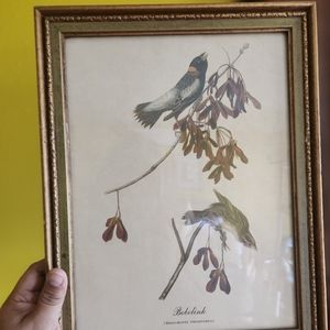3 Piece Framed Bird artwork